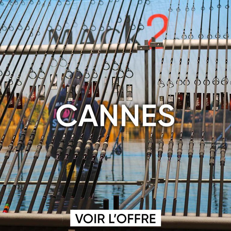 Cannes carpe